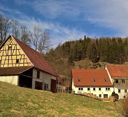 Muehlenchalet Villa Gundershofen Eksteriør billede