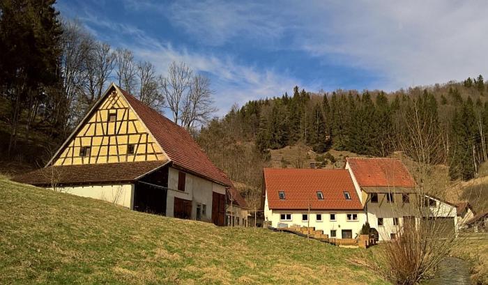 Muehlenchalet Villa Gundershofen Eksteriør billede